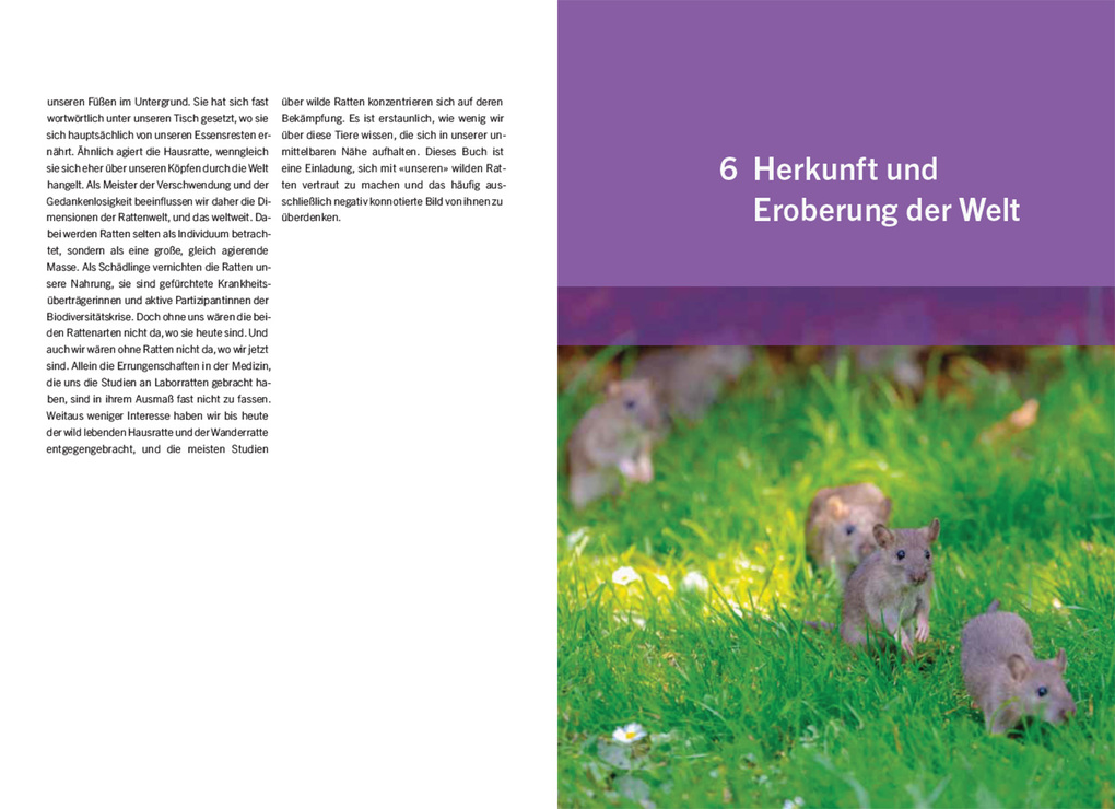 Weitere Ansicht: Ratten | Irene Weinberger