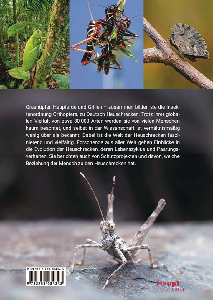 Weitere Ansicht: Die Welt der Heuschrecken