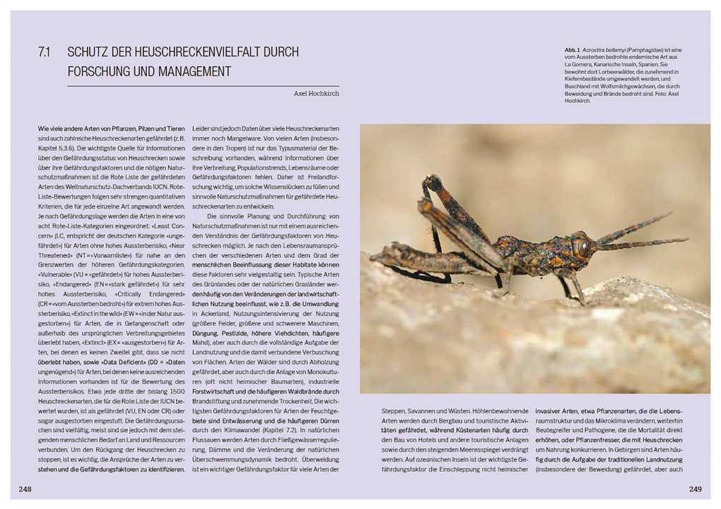 Weitere Ansicht: Die Welt der Heuschrecken