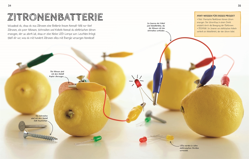 Weitere Ansicht: Das Superlabor | Robert Winston