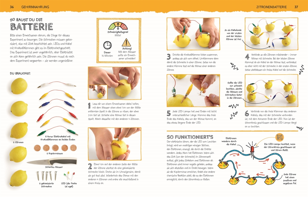 Weitere Ansicht: Das Superlabor | Robert Winston