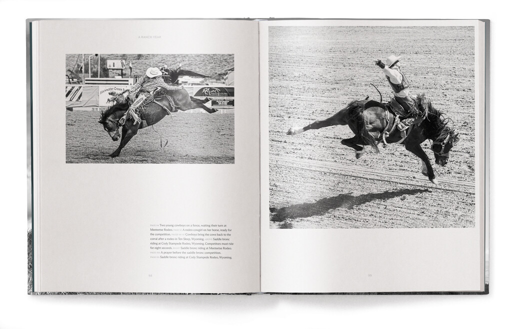 Weitere Ansicht: A Ranch Year | Isabelle Arnon
