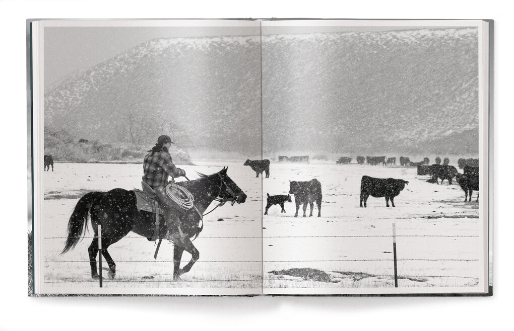 Weitere Ansicht: A Ranch Year | Isabelle Arnon