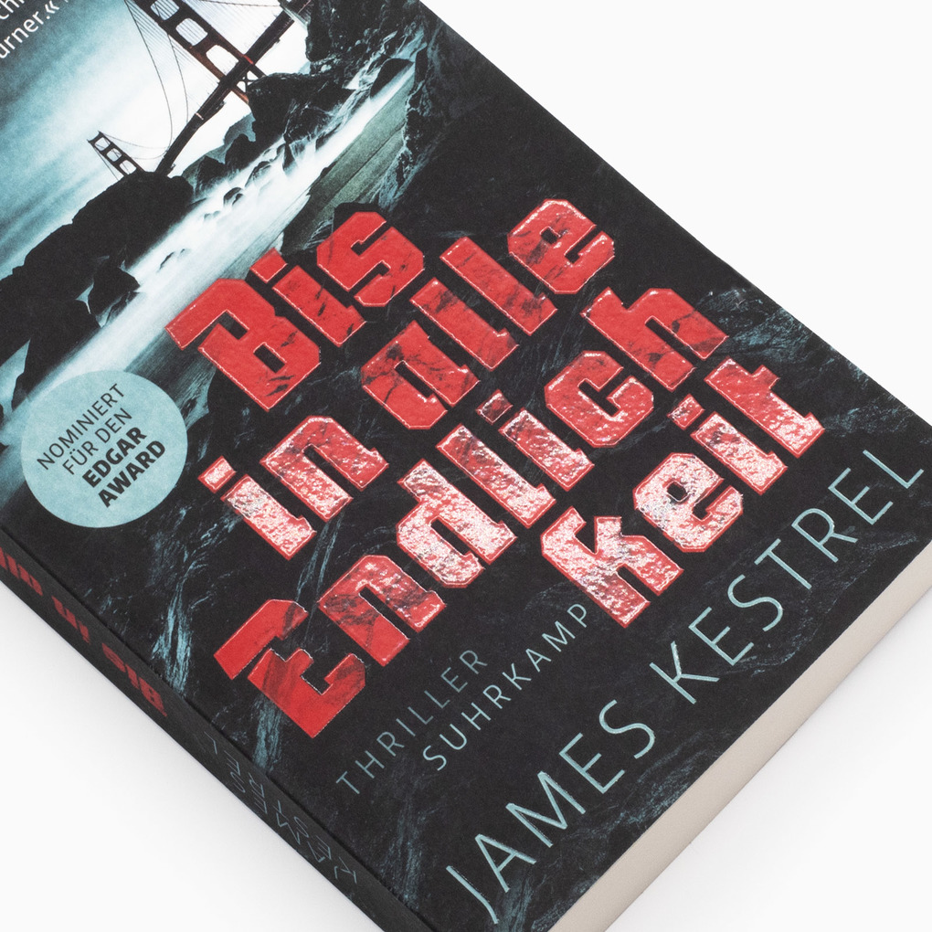 Weitere Ansicht: Bis in alle Endlichkeit | James Kestrel