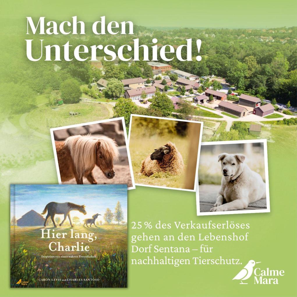 Weitere Ansicht: Hier lang, Charlie | Caron Levis