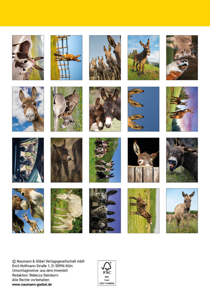 Weitere Ansicht: Postkartenblock Esel