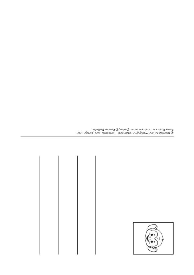 Weitere Ansicht: Postkartenblock Lustige Tiere