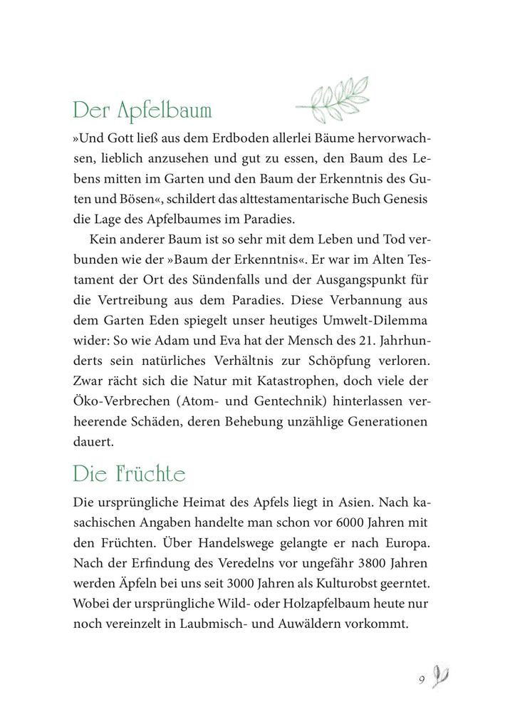 Weitere Ansicht: Baumhoroskop der Kelten | Christoph Matzl