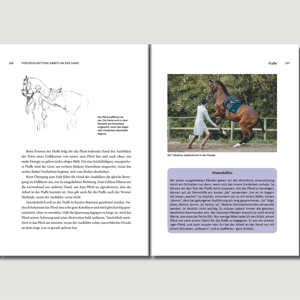 Weitere Ansicht: Ich bilde Pferde aus, Pferde bilden mich aus | Jan Nmec, Jan Nemec