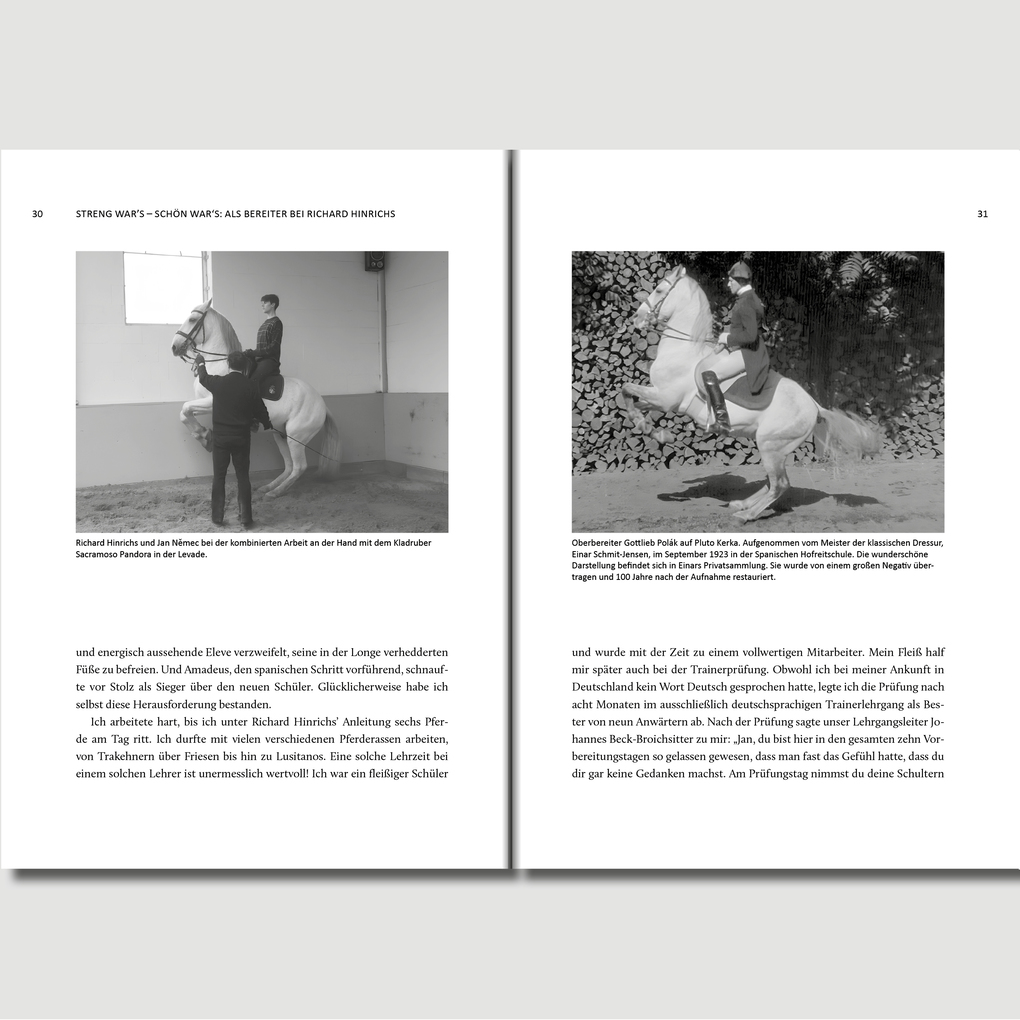 Weitere Ansicht: Ich bilde Pferde aus, Pferde bilden mich aus | Jan Nmec, Jan Nemec