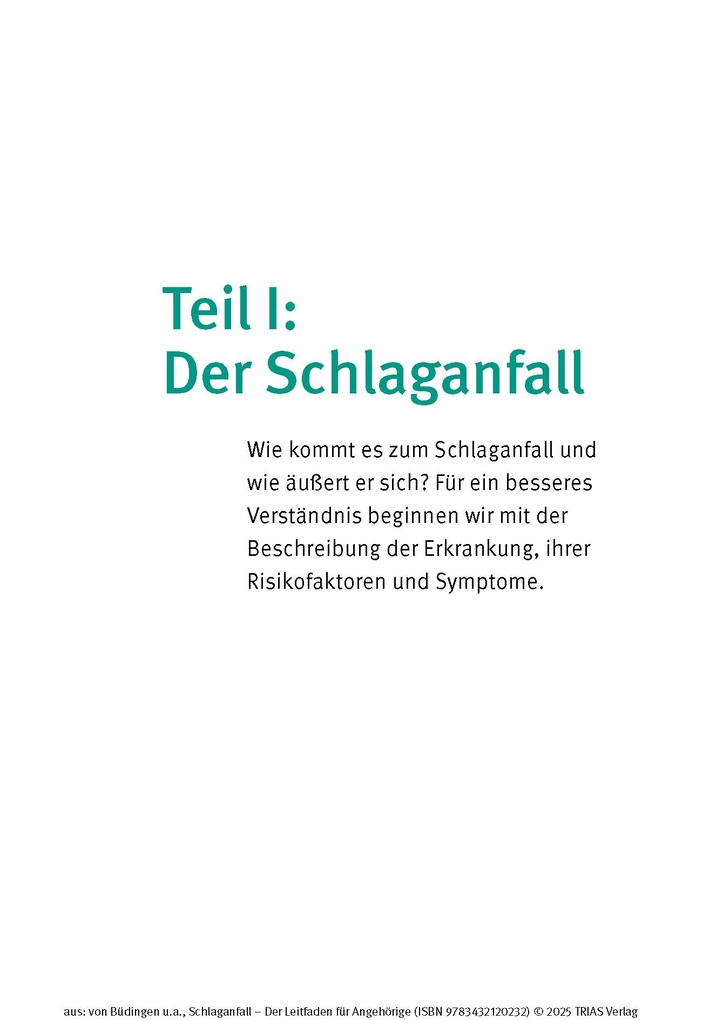 Weitere Ansicht: Schlaganfall - Der Leitfaden für Angehörige | Hans Joachim Büdingen, Nadine Stelzer