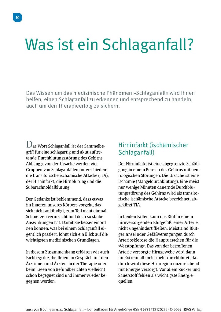 Weitere Ansicht: Schlaganfall - Der Leitfaden für Angehörige | Hans Joachim Büdingen, Nadine Stelzer