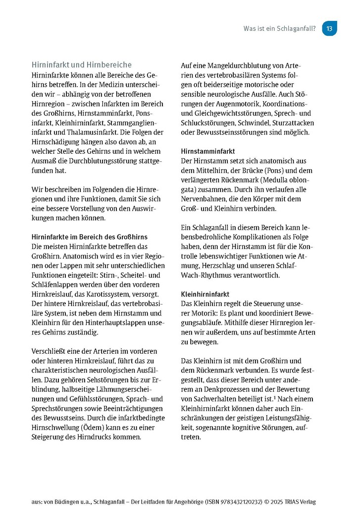 Weitere Ansicht: Schlaganfall - Der Leitfaden für Angehörige | Hans Joachim Büdingen, Nadine Stelzer