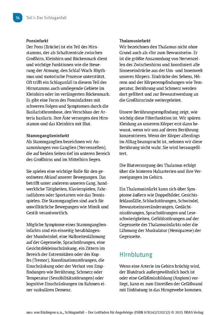 Weitere Ansicht: Schlaganfall - Der Leitfaden für Angehörige | Hans Joachim Büdingen, Nadine Stelzer