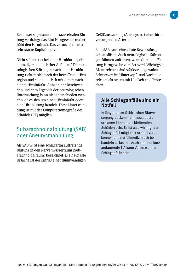 Weitere Ansicht: Schlaganfall - Der Leitfaden für Angehörige | Hans Joachim Büdingen, Nadine Stelzer