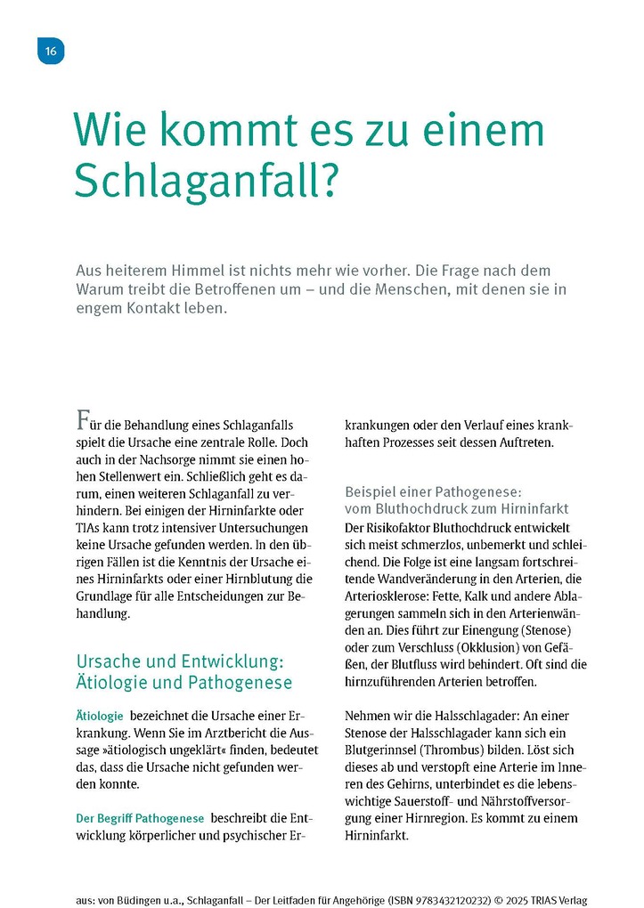 Weitere Ansicht: Schlaganfall - Der Leitfaden für Angehörige | Hans Joachim Büdingen, Nadine Stelzer