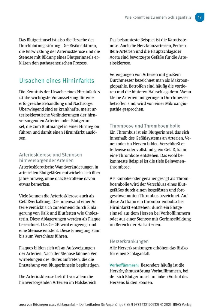 Weitere Ansicht: Schlaganfall - Der Leitfaden für Angehörige | Hans Joachim Büdingen, Nadine Stelzer