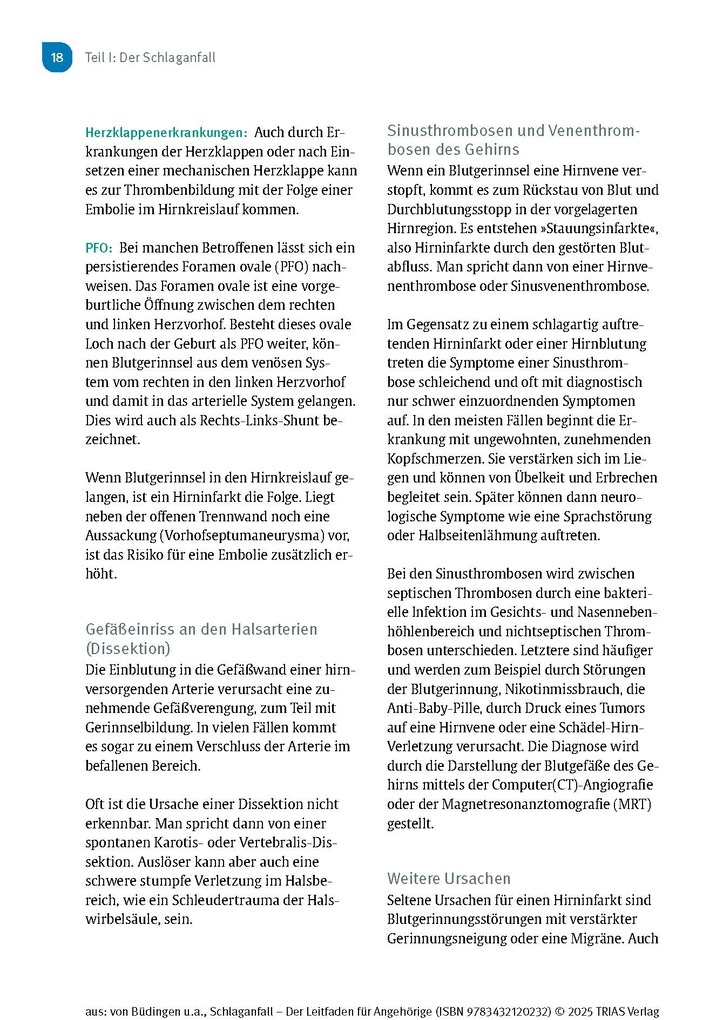 Weitere Ansicht: Schlaganfall - Der Leitfaden für Angehörige | Hans Joachim Büdingen, Nadine Stelzer