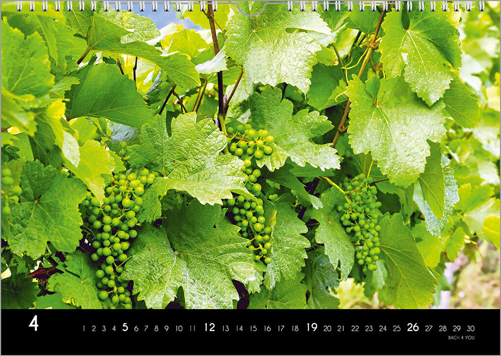 Weitere Ansicht: Der Weinkalender 2026, DIN A4 - ein Fotokalender | Peter Bach jr.