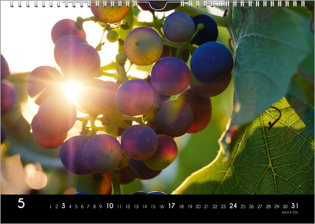 Weitere Ansicht: Der Weinkalender 2026, DIN A3 - ein Fotokalender | Peter Bach jr.