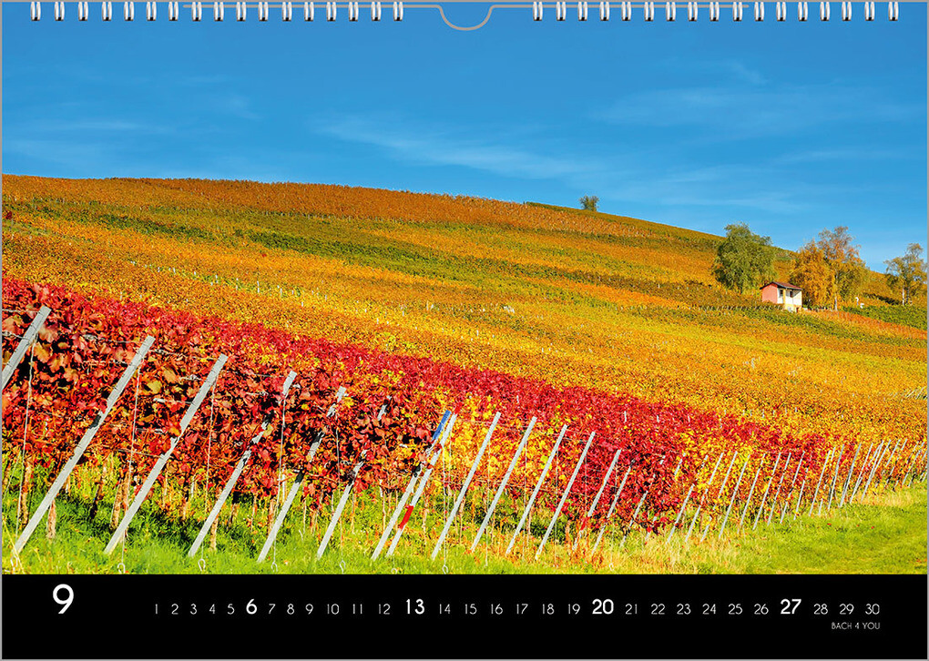 Weitere Ansicht: Der Weinkalender 2026, DIN A3 - ein Fotokalender | Peter Bach jr.