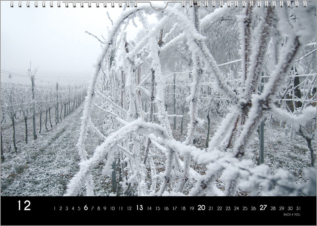 Weitere Ansicht: Der Weinkalender 2026, DIN A3 - ein Fotokalender | Peter Bach jr.