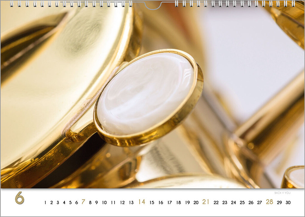 Weitere Ansicht: Blech-Instrumente - Musik-Kalender 2026, DIN A3 | Peter Bach jr.