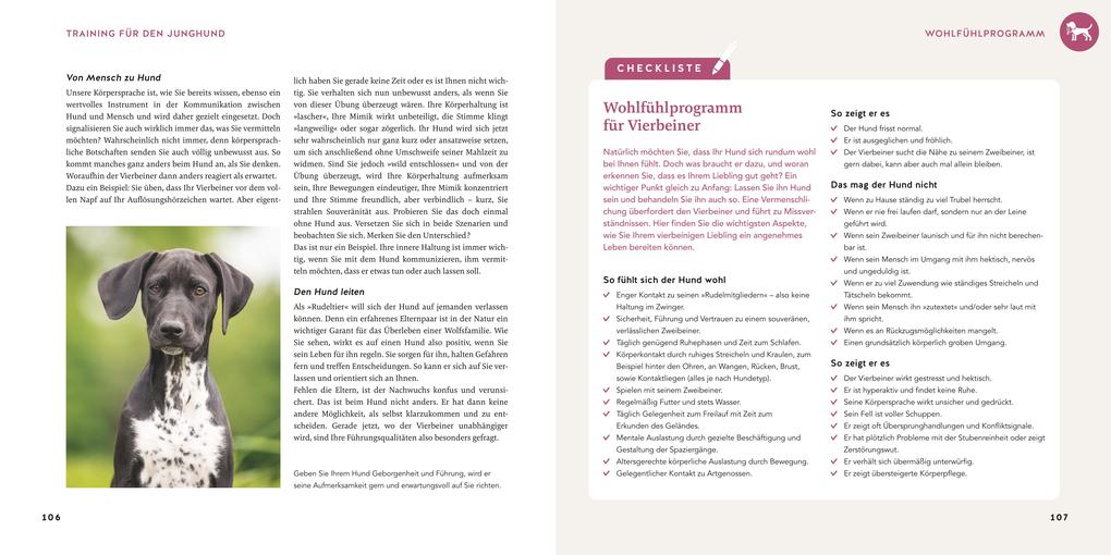 Weitere Ansicht: Welpen-Erziehung | Katharina Schlegl-Kofler