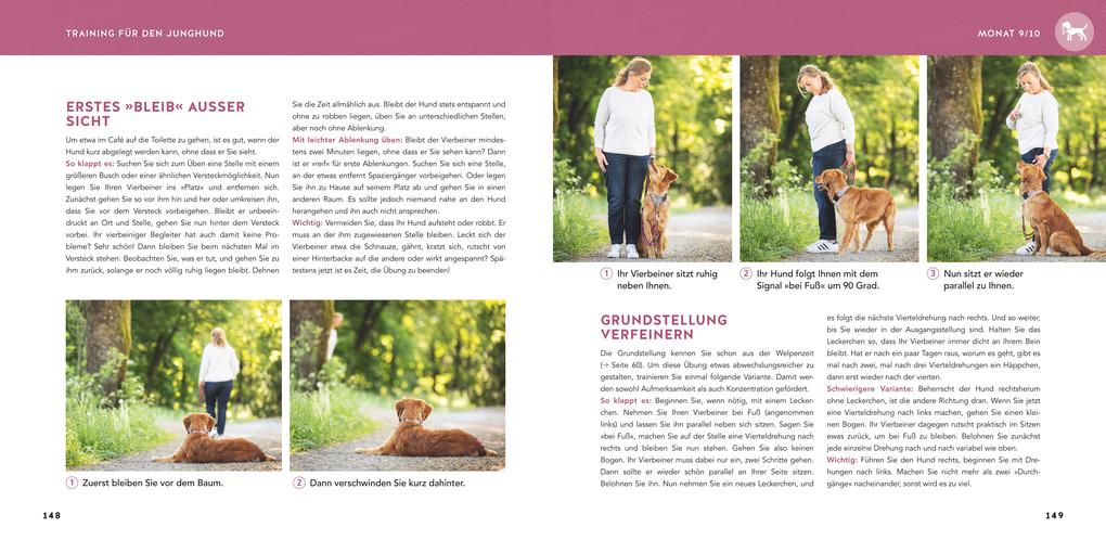 Weitere Ansicht: Welpen-Erziehung | Katharina Schlegl-Kofler