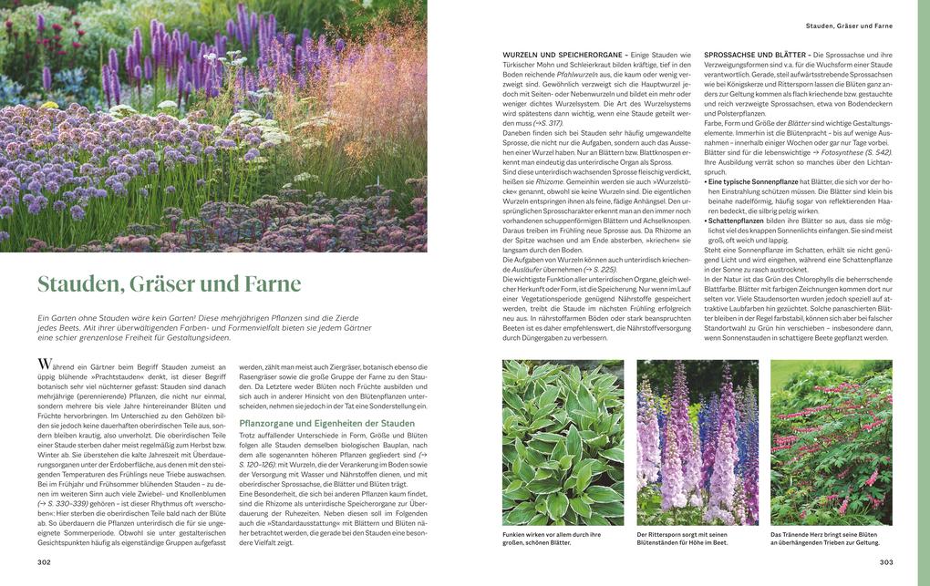 Weitere Ansicht: Das große Praxishandbuch Garten | Joachim Mayer, Wolfgang Hensel, Christof Jany, Silke Kluth, Martin Späth