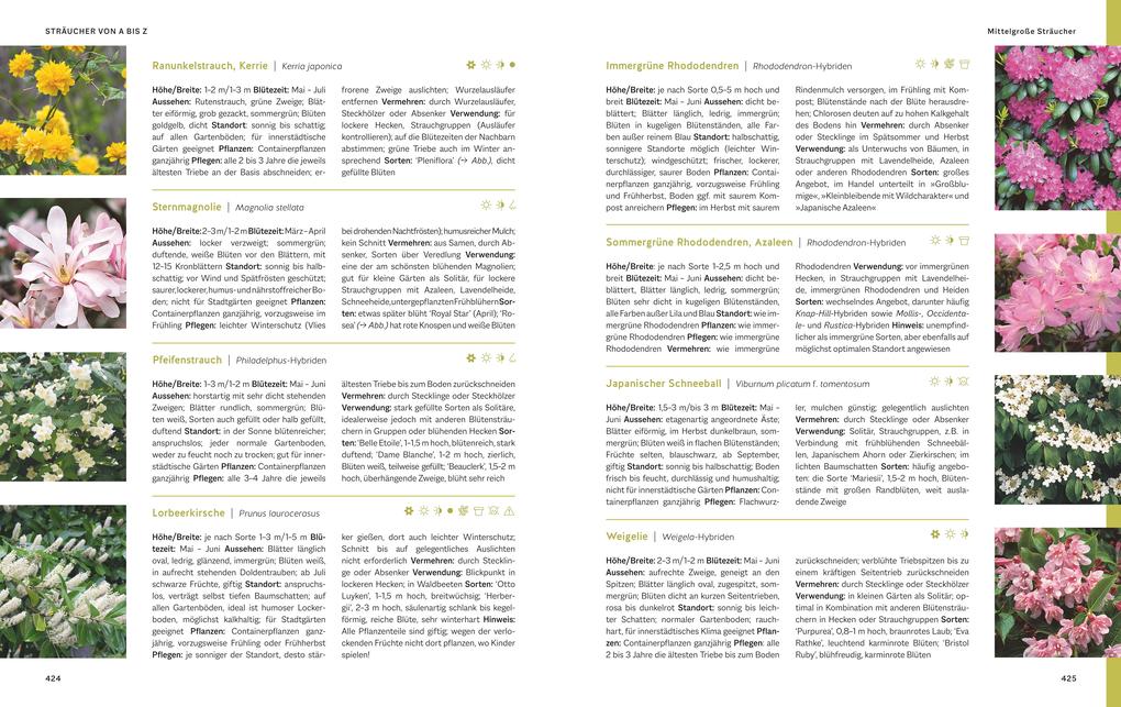 Weitere Ansicht: Das große Praxishandbuch Garten | Joachim Mayer, Wolfgang Hensel, Christof Jany, Silke Kluth, Martin Späth