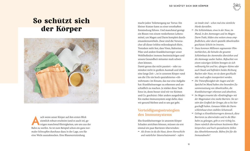 Weitere Ansicht: Meine Gesundheitsretter aus der Natur für ein starkes Immunsystem | Franziska Rubin