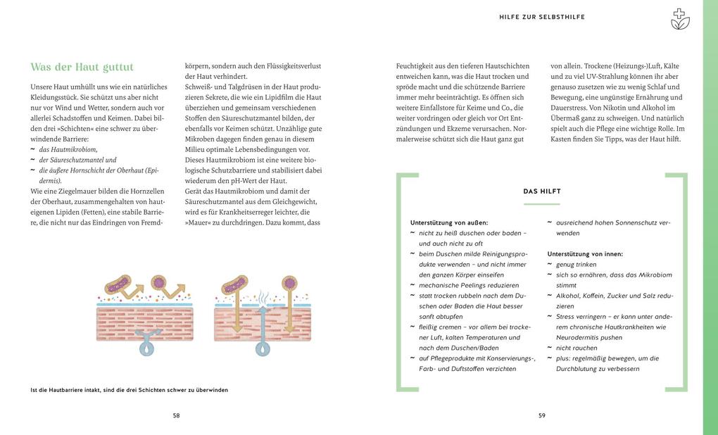 Weitere Ansicht: Meine Gesundheitsretter aus der Natur für ein starkes Immunsystem | Franziska Rubin