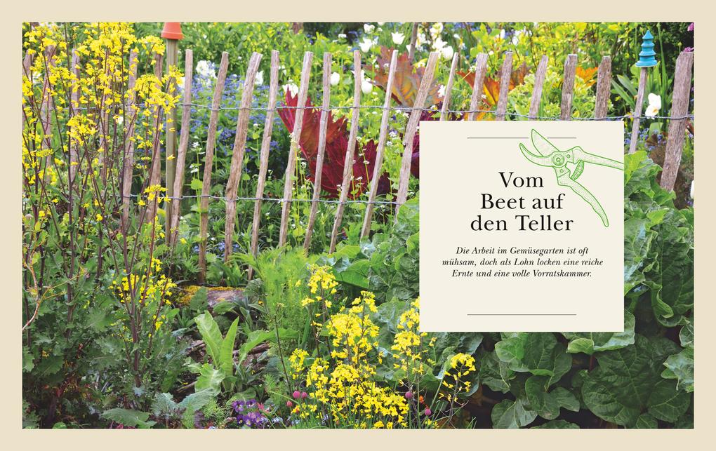 Weitere Ansicht: Das große Garten-Gemüse-Buch | Cynthia Nagel