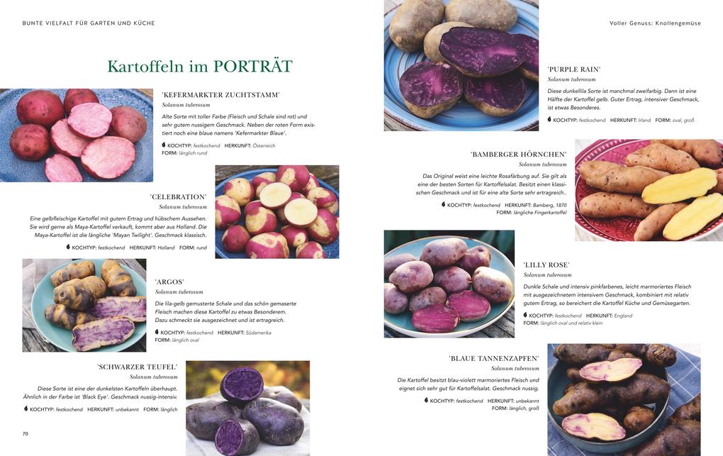 Weitere Ansicht: Das große Garten-Gemüse-Buch | Cynthia Nagel