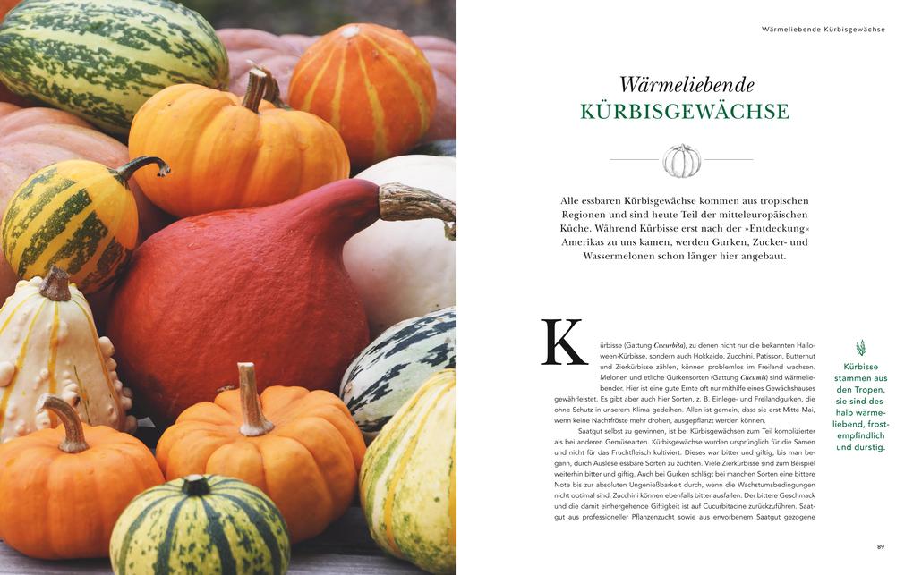 Weitere Ansicht: Das große Garten-Gemüse-Buch | Cynthia Nagel