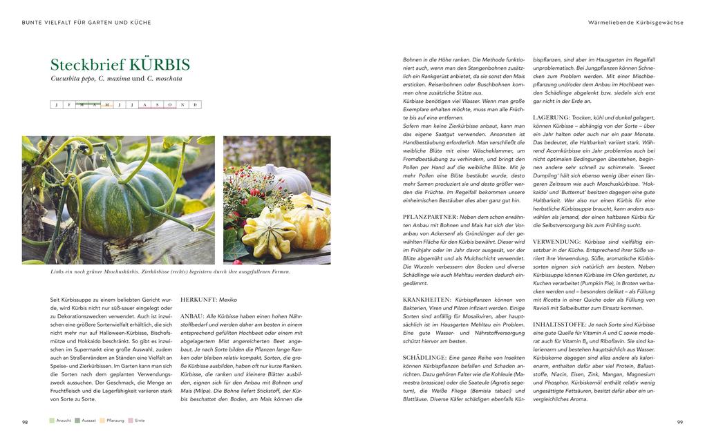 Weitere Ansicht: Das große Garten-Gemüse-Buch | Cynthia Nagel