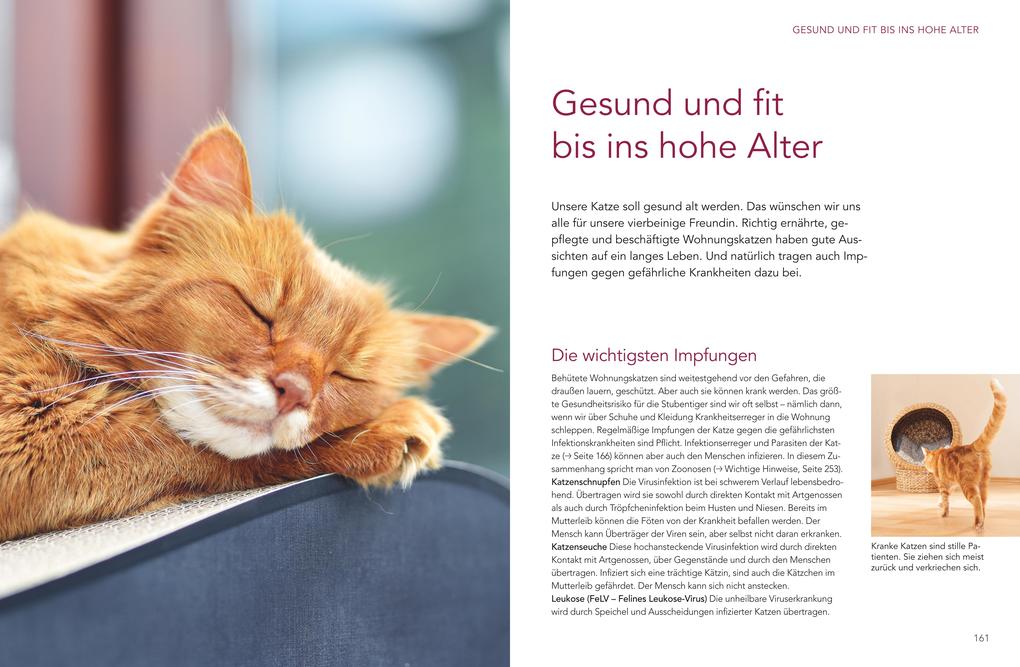 Weitere Ansicht: Das große Wohnungskatzen-Wohlfühl-Buch | Monika Wegler, Gabriele Linke-Grün