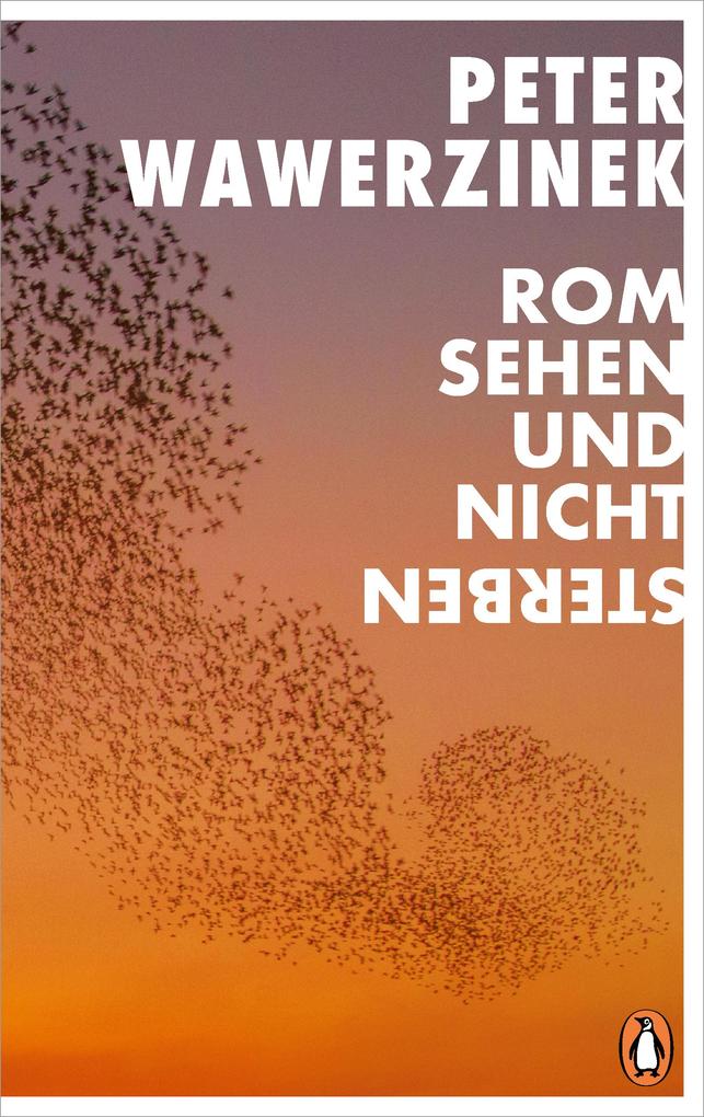 Produktbild: Rom sehen und nicht sterben | Peter Wawerzinek