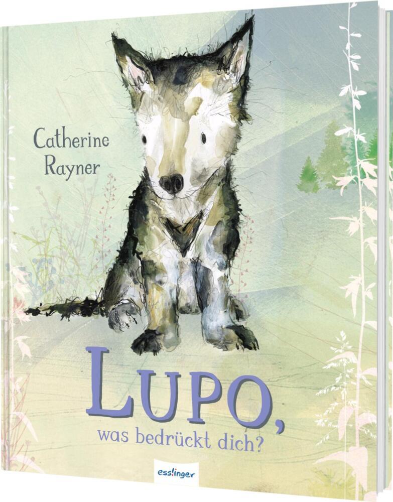 Produktbild: Lupo, was bedrückt dich? | Catherine Rayner