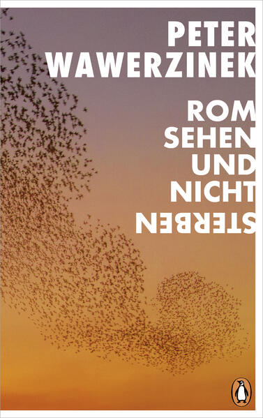Produktbild: Rom sehen und nicht sterben | Peter Wawerzinek
