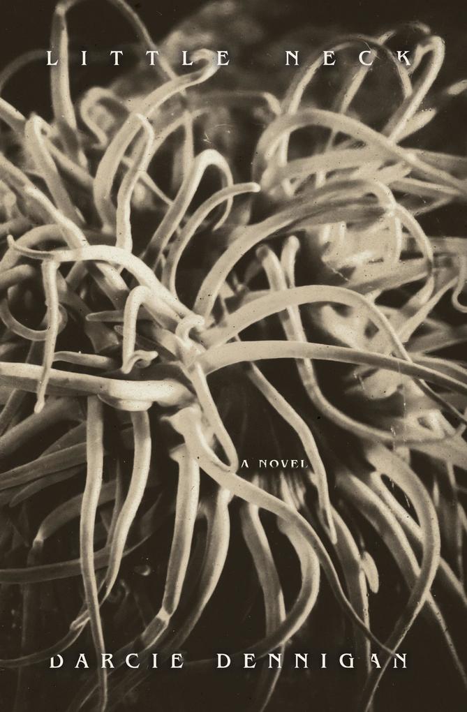 Produktbild: Little Neck | Darcie Dennigan