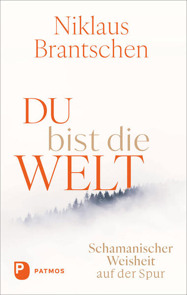 Produktbild: Du bist die Welt | Niklaus Brantschen