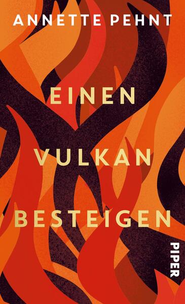 Produktbild: Einen Vulkan besteigen | Annette Pehnt