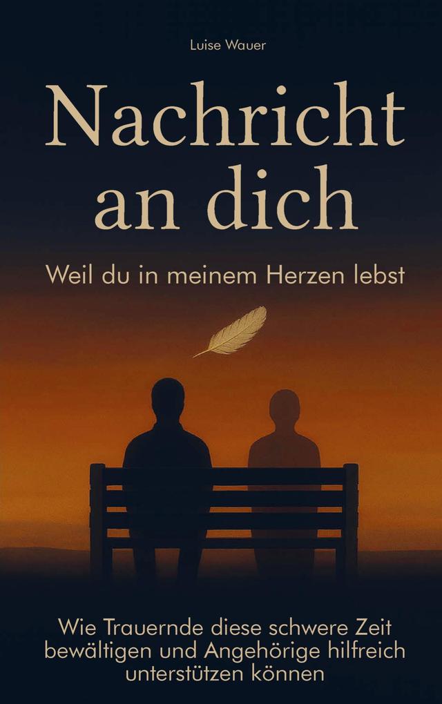 Produktbild: Nachricht an dich | Luise Wauer
