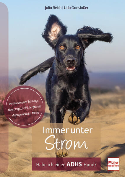 Produktbild: Immer unter Strom | Udo Gansloßer, Julia Reich