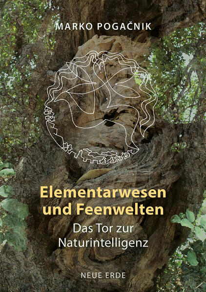 Produktbild: Elementarwesen und Feenwelten | Marko Poganik