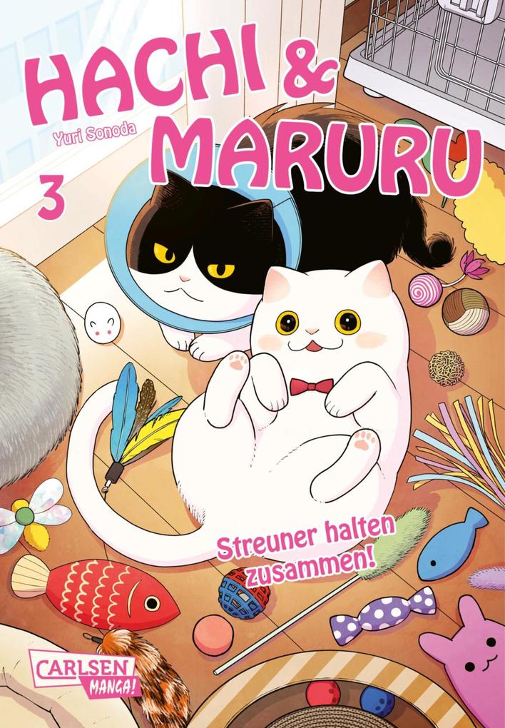 Produktbild: Hachi & Maruru - Streuner halten zusammen! 3 | Yuri Sonoda