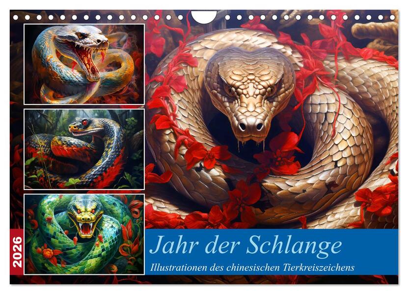 Produktbild: Jahr der Schlange - Illustrationen des chinesischen Tierkreiszeichens (Wandkalender 2026 DIN A4 quer), CALVENDO Monatskalender | Anja Frost, Calvendo