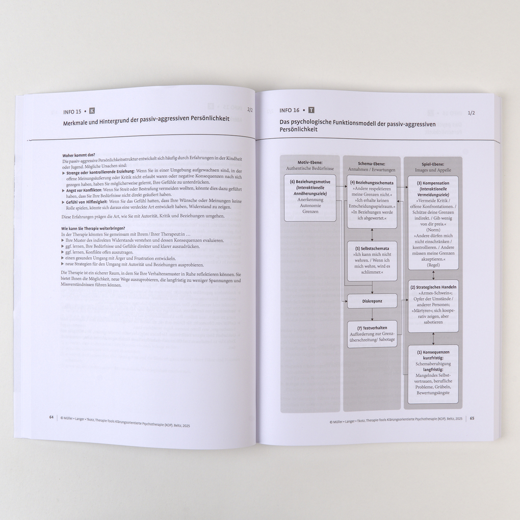 Weitere Ansicht: Therapie-Tools Klärungsorientierte Psychotherapie (KOP) | Gregor Müller, Katja Langer, Simon Tkotz